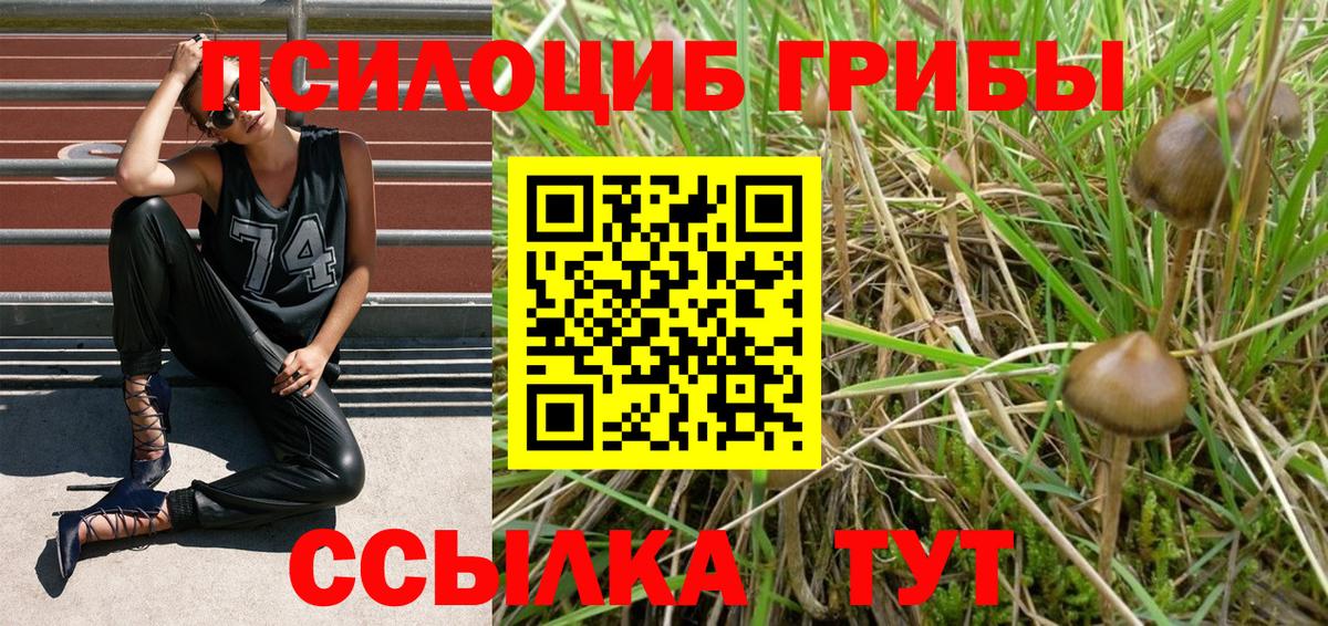 Псилоцибиновые грибы Cubensis  Галлюциногенные грибы MAGIC MUSHROOMS  Вход с VPN  Чапаевск 
